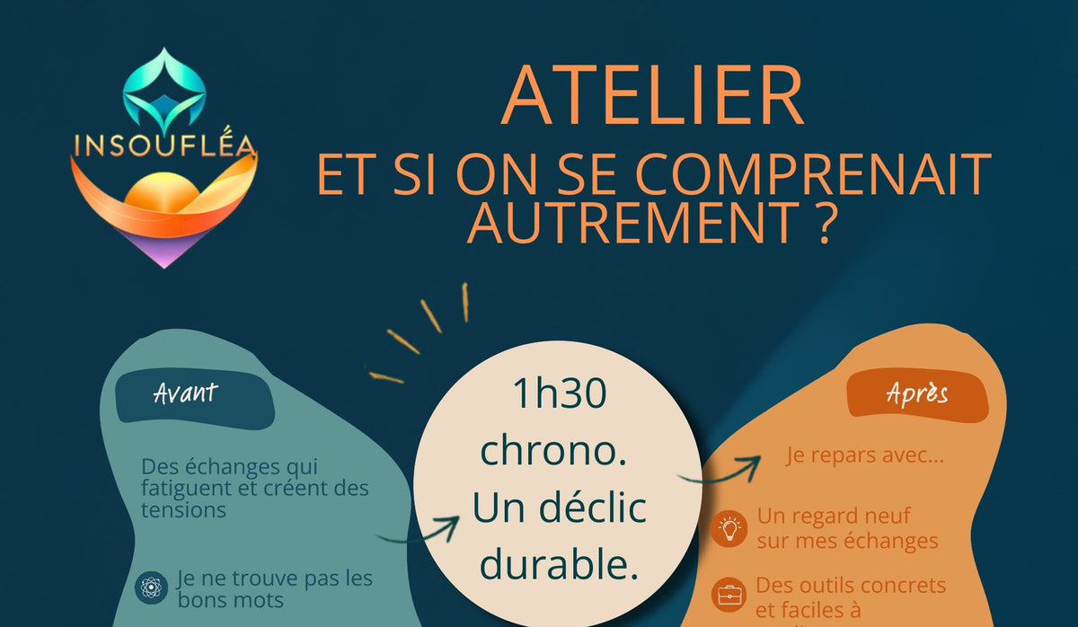 Atelier « Et si on se comprenait autrement ? » avec Insoufléa